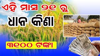 Get Ready For Kharif Season Paddy Procurement Starts On Nov 21 At Odisha Dhana Mandi [upl. by Aidnama]