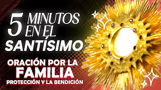 oración que pide por la protección y la bendición de Dios para la familia 5 Minutos en el Santísimo [upl. by Odysseus]