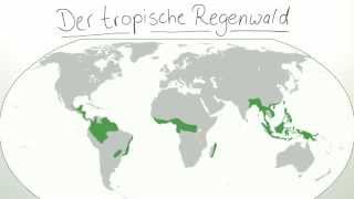 Ökosystem tropischer Regenwald  Biologie  Ökologie [upl. by Beverlee25]