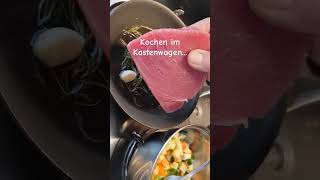 Kochen im Kastenwagen Camper Pössl urlaub kastenwagen pössl automobile fun überwintern [upl. by Gerbold315]