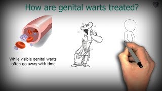 how to treat Genital Warts and how to prevent them  animated [upl. by Yeta]