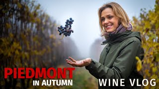 Piedmont in Autumn Wine Vlog [upl. by Tove540]