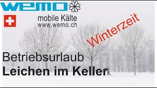 bessere Belüftung  mehr Leistung weniger Geräusche grüner Widerstand WEMO 96F [upl. by Uahc212]