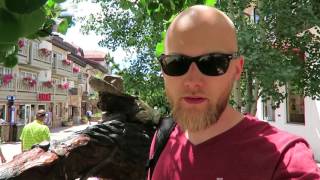 W POSZUKIWANIU DRUGIEJ PRACY  Work and Travel USA Vlog [upl. by Tereb736]