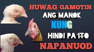 GAMOT SA SAKIT NG MGA MANOK [upl. by Atinrahc330]