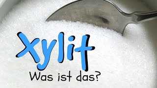 Xylit ♥  Alternative zum Industriezucker [upl. by Eenalem]