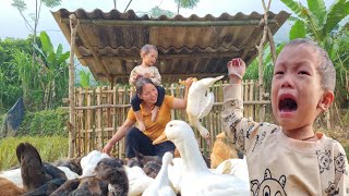 Single Mother Farm  How to Build a Duck Coop with Bamboo  Single Mother Ca [upl. by Arayk52]