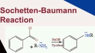 🔴SchottenBaumann ReactionSchotten baumann reaction MechanismTrick to learn Schotten baumann RXN [upl. by O'Carroll176]