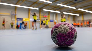 Handbalshow van de leden van handbalvereniging Meervogels 60 [upl. by Midis]