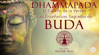 Buda  Dhammapada quotEl Camino de la Verdadquot Las Enseñanzas Sagradas de Buda Audiolibro Completo [upl. by Kyre]