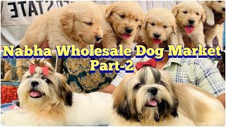 Wholesale DOG MARKET at Nabha Dog Show Punjab  Part2  Husky Retreivers Toy Poms Pomeranian [upl. by Socram]