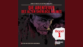 Kapitel 4  Teil 19  Die Abenteuer des alten Sherlock Holmes Band 1 [upl. by Eimmot]