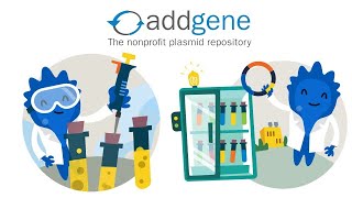 Addgene  Sequence Analysis  Restriction Enzymes  Nucleotide  Blast  Bioinformatics  Urdu [upl. by Magdala]