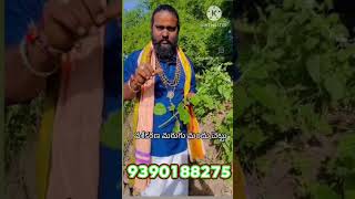 How to working Marugu Mandu in telugu 6281215708 [upl. by Modla95]