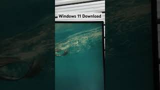 How to download windows 11 iso file trending youtube [upl. by Thomasin556]