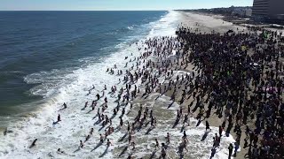 Polar Bear Plunge [upl. by Aniela]