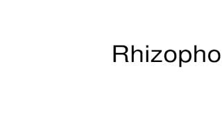 How to pronounce Rhizophora [upl. by Dreddy]