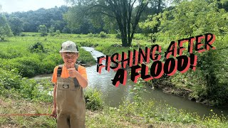 Wisconsin Driftless Trout Fishing [upl. by Caitrin]