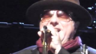 Van Morrison Moondance Live in Belfast with Lyrics [upl. by Allenod]