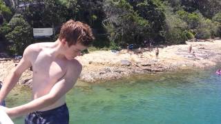 Stingray at Tallebudgera [upl. by Leuqar]