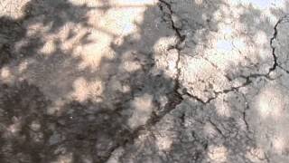 How to Resurface a Driveway [upl. by Joann185]