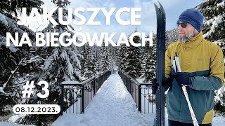 Na biegówkach w Jakuszycach Dzień trzeci [upl. by Sajovich]