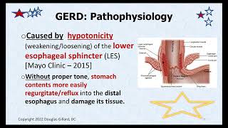 Heartburn a Deep Dive into Gastroesophageal Reflux Disease GERD [upl. by Ahsinik546]