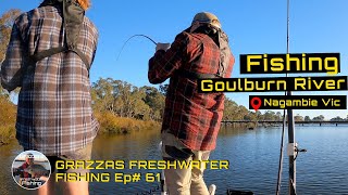 Murray Cod Fishing  Gouburn River Nagambie [upl. by Nottirb]