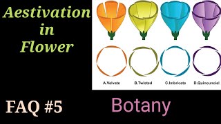 FAQ 5  Aestivation in Flower  Valvate  Twisted  Imbricate  Quincuncial  in Calyx amp in Corolla [upl. by Treva]