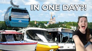 One Day All Disney World Transport Monorail Skyliner Buses amp Ferry [upl. by Oys795]