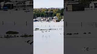 High water in Roermond 🇳🇱14 [upl. by Brewster]