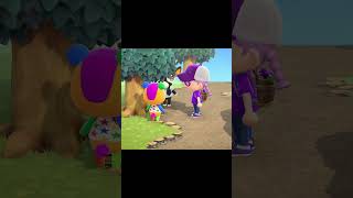 shorts Stitches Doesnt Understand animalcrossingnewhorizons acnhgameplay acnh [upl. by Yerahcaz]