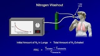 Pulmonary Function Tests PFT Lesson 3  Lung Volumes [upl. by Royall341]