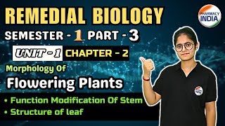 Function Modification Of Stem  Structure of leaf  UNIT1  CH2 P3 SEMESTER1 Remedial Biology [upl. by Synn]