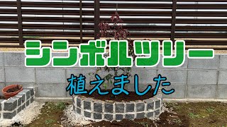 【シンボルツリー】ヤマボウシを植えました DIY [upl. by Seabury]