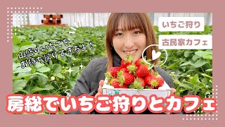 房総のいちご狩りと古民家カフェに行ってきたよ♪strawberry farm夫婦旅週末旅日帰り旅まったり旅 [upl. by Htaeh]