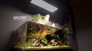 How To Do Aquatic Plants Waterfall Aquaterrarium l Make 4 Terrarium [upl. by Hesta]