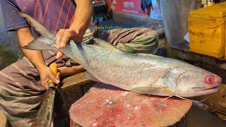 Incredible Big Indian Salmon Fish Cutting In Fish Market  Fish Cutting Skills [upl. by Godiva]