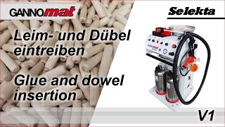 GANNOMAT Selekta  Dübeleintreibgerät  Handheld glue and dowel inserter [upl. by Hildebrandt]