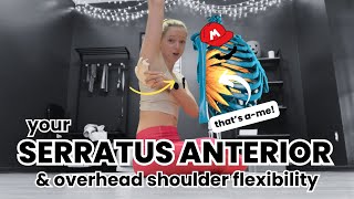 How Strengthening Your SERRATUS ANTERIOR Can Help with Overhead Shoulder Flexibility [upl. by Omero]