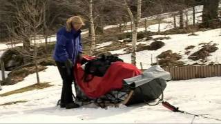 Apprendre le traineau à chiens  husky  chiens de traineau [upl. by Leesen]