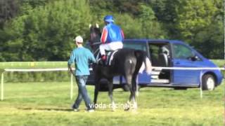 08052011  Paddock and Finish Nagroda Pamira Gr B 2200 m handicap 4  1st Vasilij 2326 [upl. by Wildermuth]