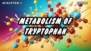 Chapter  3  Metabolism Of Amino Acids  Tryptophan Metabolism Part8  Hindi [upl. by Romine]