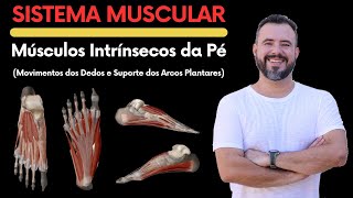 MÚSCULOS INTRÍNSECOS DO PÉ MOVIMENTOS DOS DEDOS E SUPORTE DOS ARCOS PLANTARES anatomy biologia [upl. by Gaw]