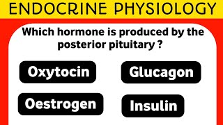 ENDOCRINE PHYSIOLOGY MCQs [upl. by Alleusnoc]