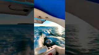 SANDBAR LIFE at TAVERNIER KEY shorts boating saltlife [upl. by Gross]