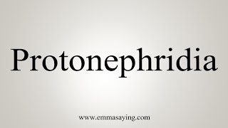 How To Say Protonephridia [upl. by Akiehsat881]