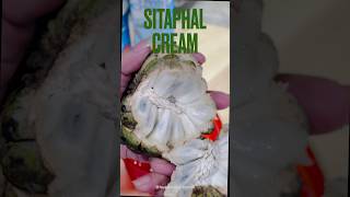 Sitaphal cream Cutard Apple cream…Haji Ali famous Sitaphal cream…Must try🫶 [upl. by Gun527]