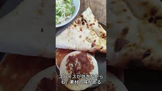 【行きつけ】インド料理の隠れ家的名店を紹介！南インドフュージョン マリニ グルメ ランチ インド料理 南インド料理 カレー ビリヤニ 川崎 元住吉 チャイ [upl. by Leonard914]