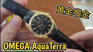 OMEGA AquaTerra 385mm 黄金嗰金 [upl. by Annairdna]